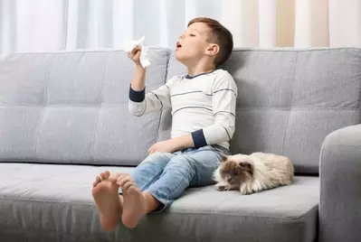 kid blowing nose next to animal